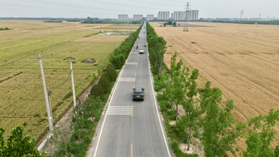 “四好農村路”成為群眾生產生活主要道路。謝飛攝