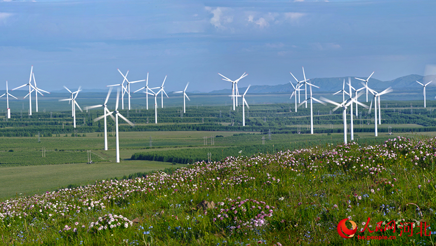 河北省圍場滿族蒙古族自治縣紅鬆風電場風力發電項目。人民網記者 周博攝