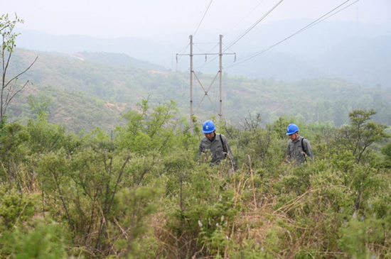 國網贊皇縣供電公司工作人員對山區35千伏線路進行雨后巡視。王一蘭攝