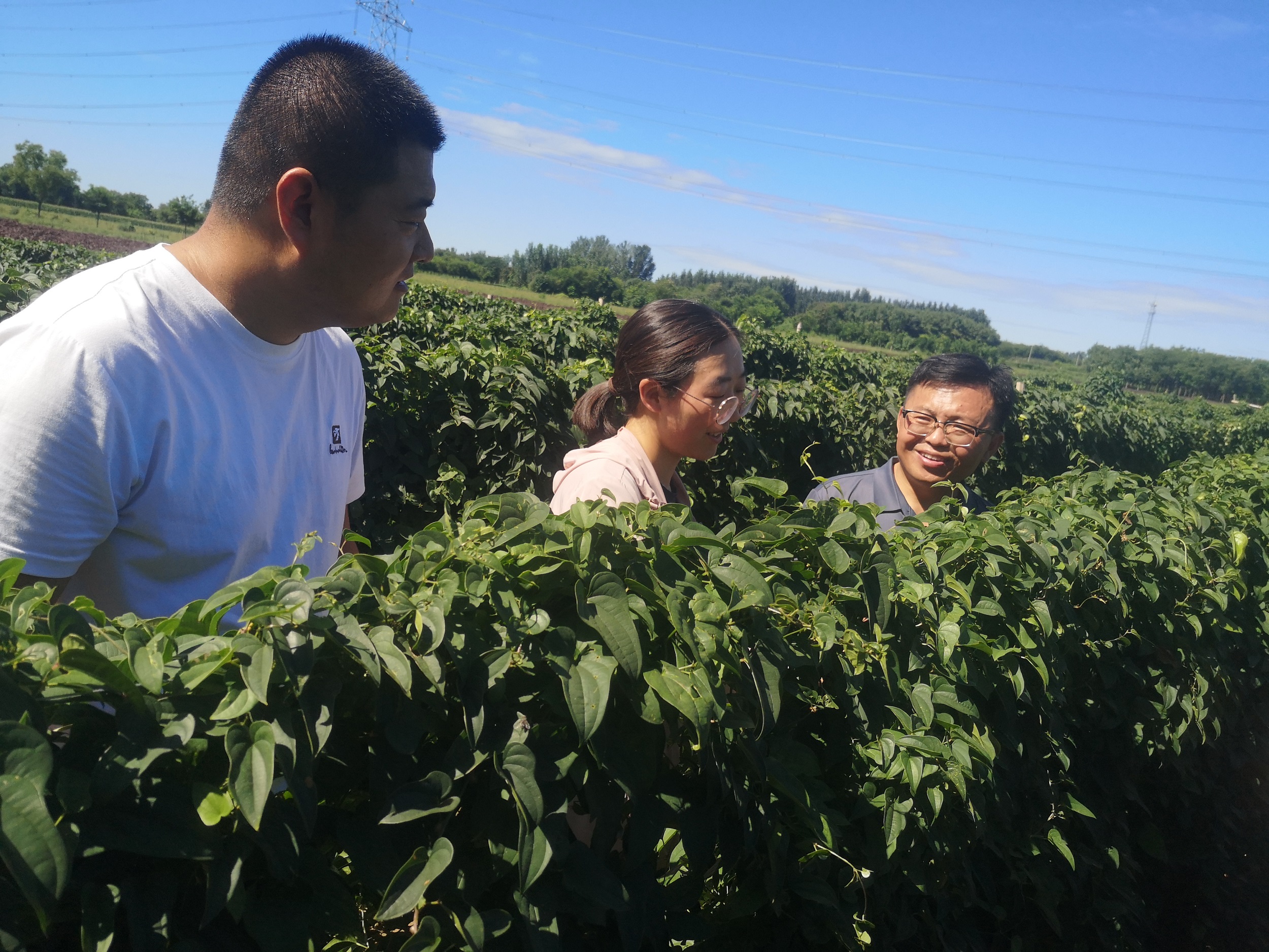 劉廷輝教授指導病虫害防治。周倩楠攝