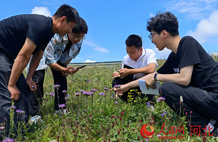 科研人员在承德平泉市辽河源省级自然保护区监测野生植物生长情况。人民网记者 周博摄