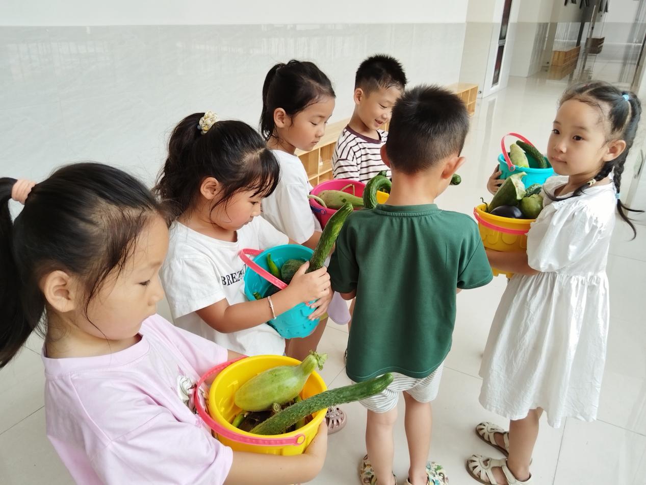 孩子们分享各自采摘的蔬菜。尹阳年摄