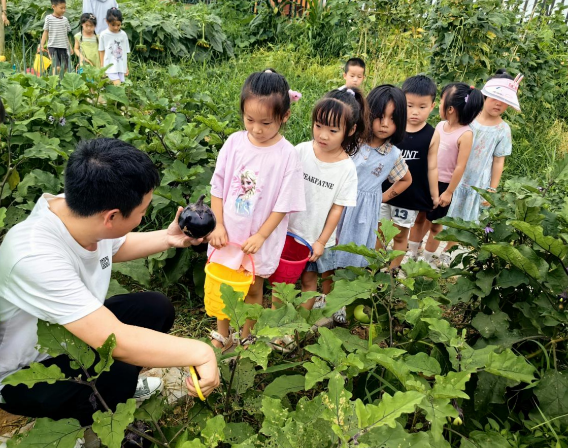 老师向孩子们介绍蔬菜的营养价值。尹阳年摄