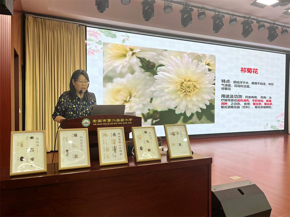 老师介绍安国“八大祁药”。唐丹摄