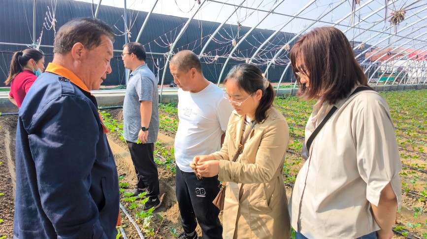 9月25日,农业科技特派员向农户讲解草莓育苗的水肥管理实用技术。耿培轩摄
