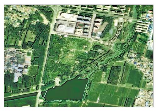 2024年8月28日,衡水市枣强县枣强森林公园绿意盎然。 高分湖北中心供图
