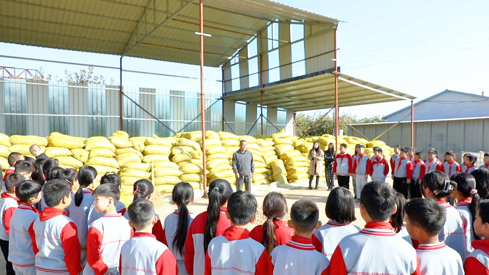 小学生在劳动实践基地体验农事。郭强摄