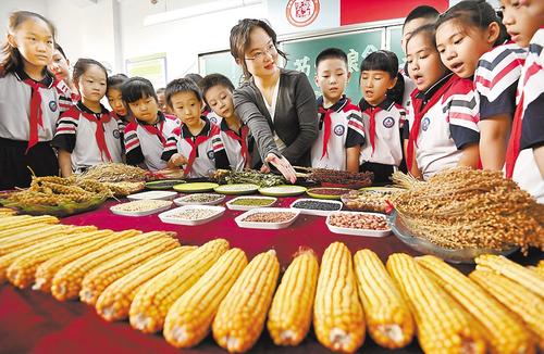 10月15日,邯鄲市邯山區實驗小學開展迎接世界糧食日主題教育活動,增強學生愛惜糧食、節約糧食的意識。郝群英攝