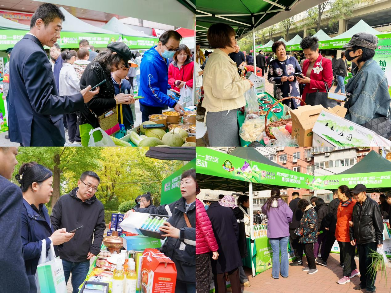 市民参观购买交流。张家口市委宣传部供图