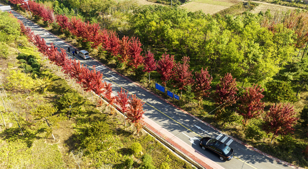 10月24日,河北省邯鄲市復興區康庄鄉,游客在觀嶺山風景道路邊打卡拍攝。聶長青攝
