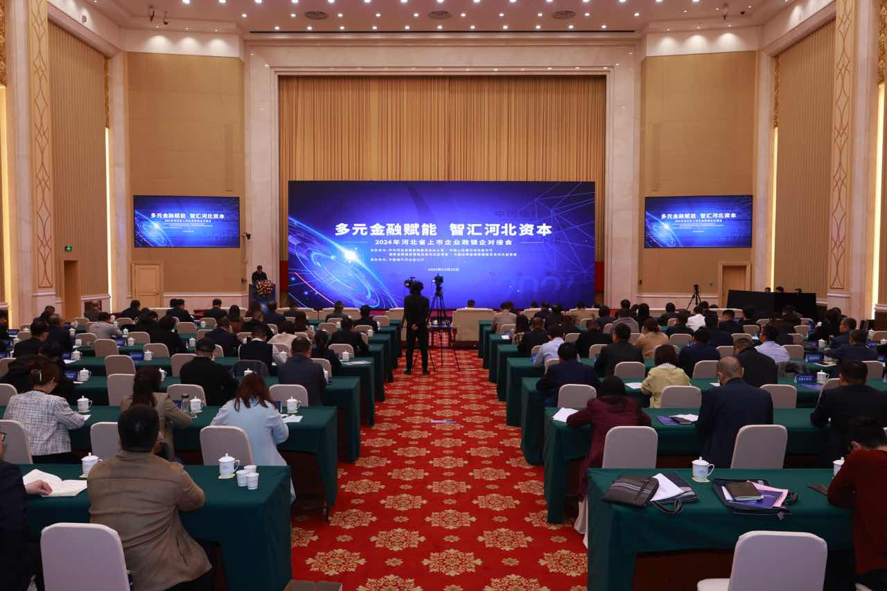 2024年河北省上市企业政银企对接会现场。高源供图