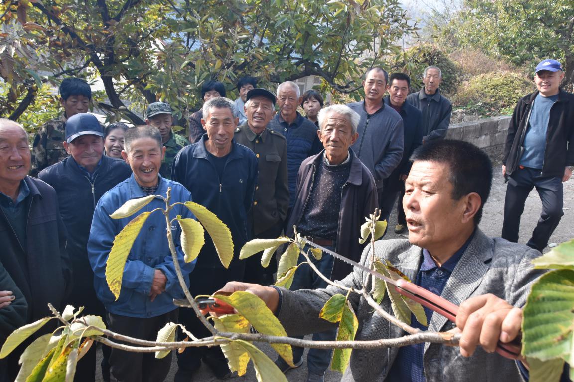 专家为村民讲授板栗秋季管理技术。田立民摄。