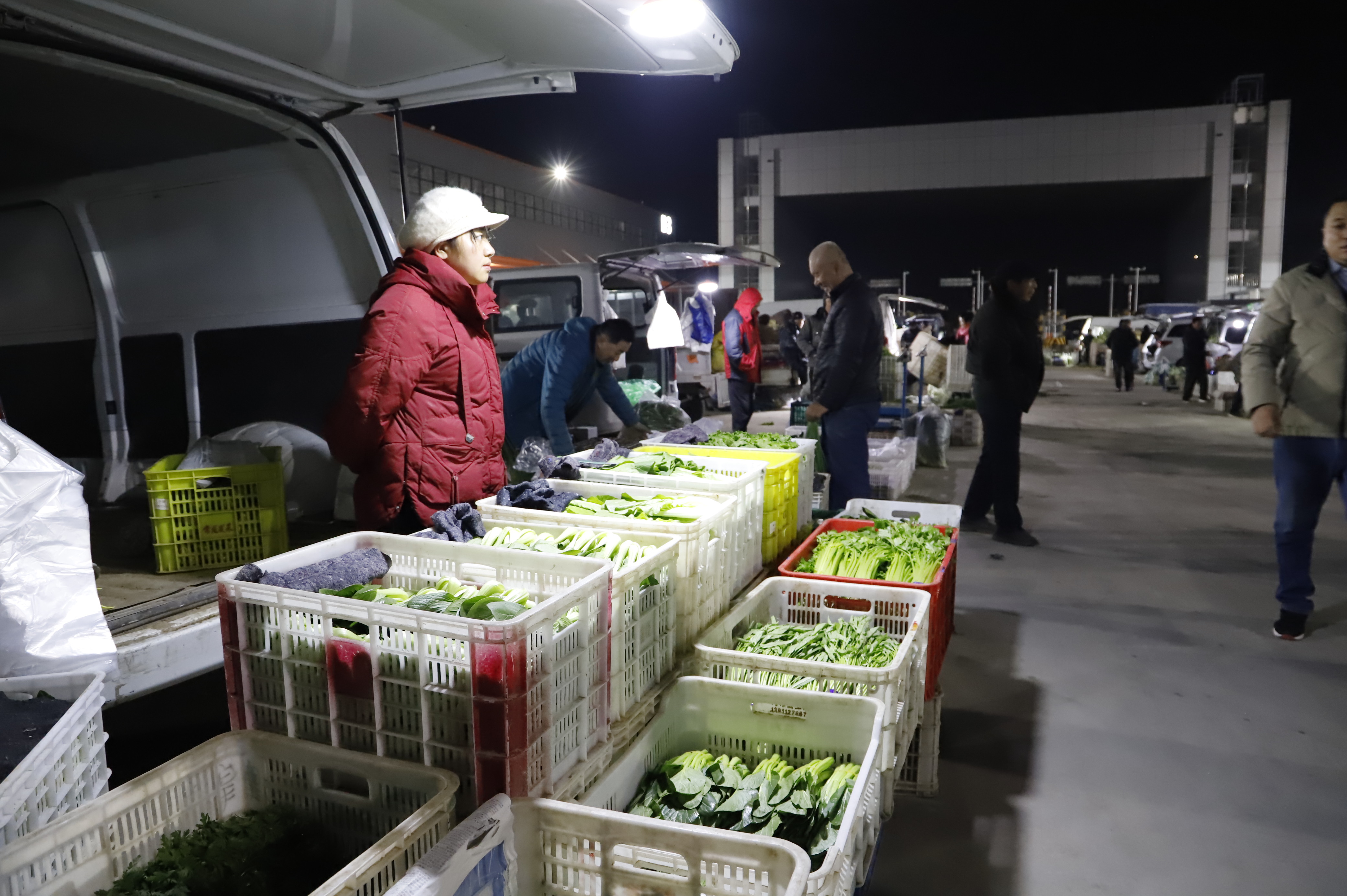 助农专区的商户摊位前摆满各类新鲜蔬菜。田蕾摄