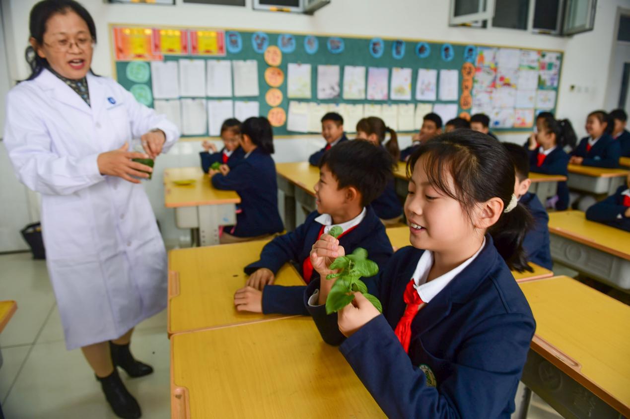 中药师向学生讲解中药薄荷叶。邓小燕摄