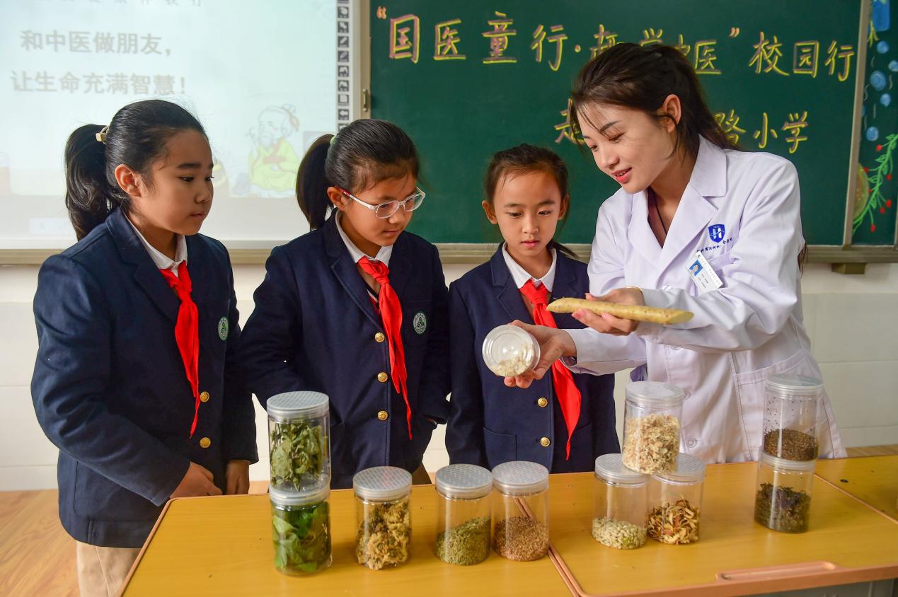 中药师向学生展示并讲解常见中药材。邓小燕摄