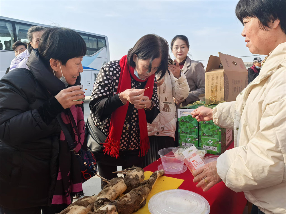 12月8日，游客在隆尧县东良镇黄营村土特产品展示会现场试吃本地的泽畔贡藕。杨秋芳摄