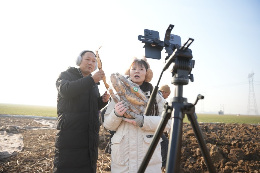 1月7日，在河北省隆尧县东良镇泽畔村莲藕种植基地，农民正在通过直播平台销售莲藕。王雪摄