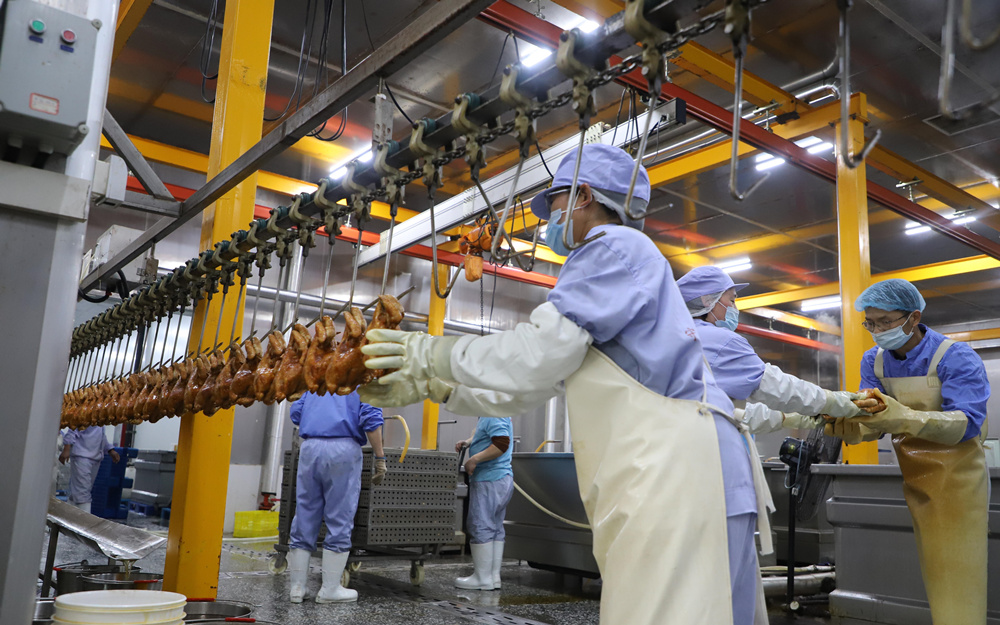 在吴桥县一家烧鸡生产企业,工人们有序开展生产工作。马天龙摄