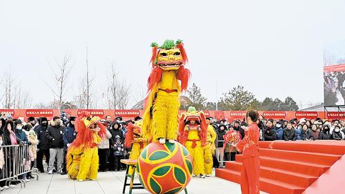 1月31日，“春节·雄安狮舞大会”精彩启幕。图为雄安洪亮龙狮队正在表演《金珠闹春》。本报记者 郝金钰摄