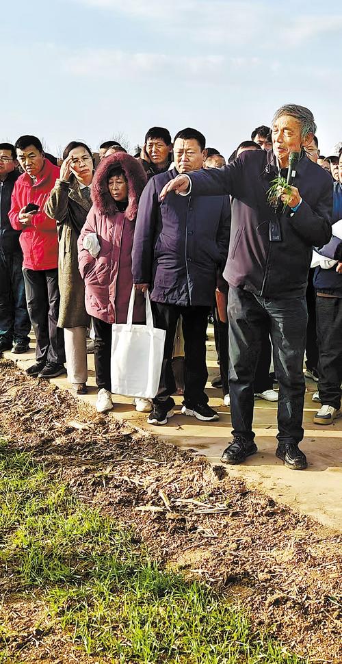 郭进考手机保存的2024年11月他在辛集市马兰农场讲解农业技术的照片。 郭进考供图
