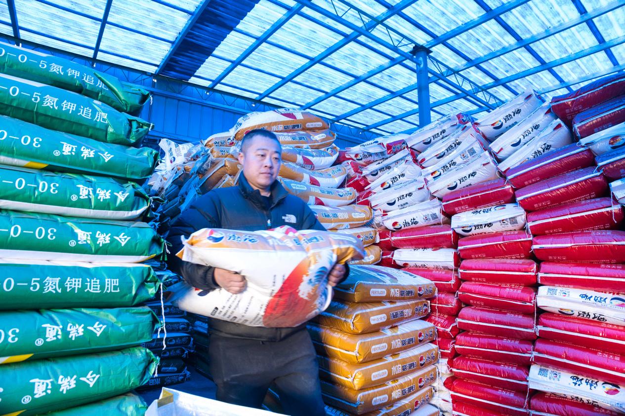 在丰南区西葛镇东尖坨二村一农资配送点，农户忙着搬运农资装车。毕帅摄