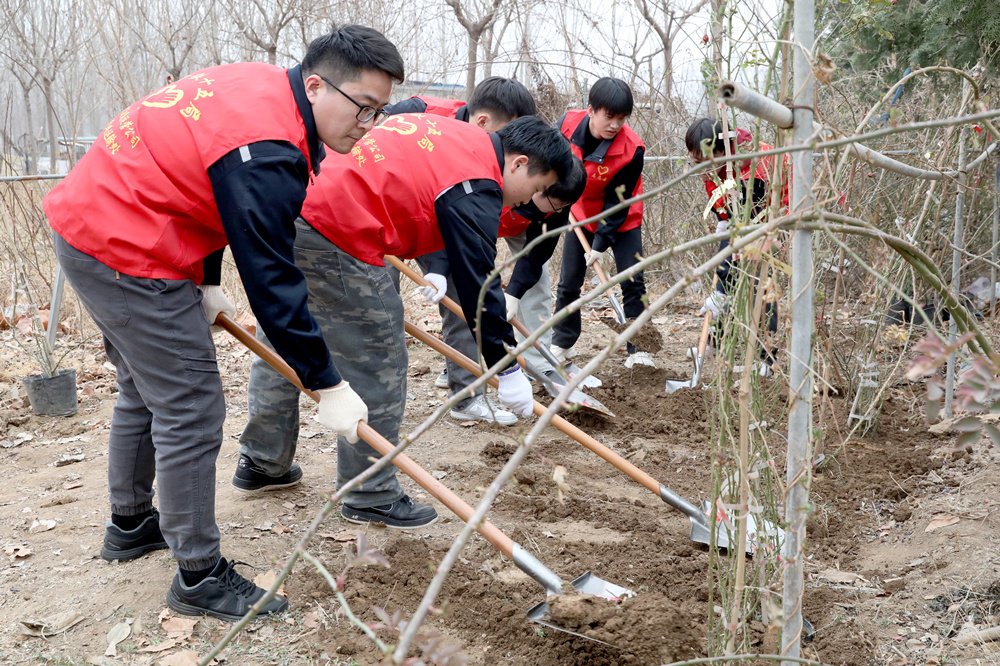 志愿者为树苗填土。刘巨雷摄