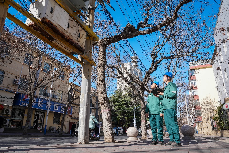 設備部宋敬良通過一鍵生成的台區內全量用戶電壓、電流曲線圖譜，對配電變壓器進行診斷。魏琦攝