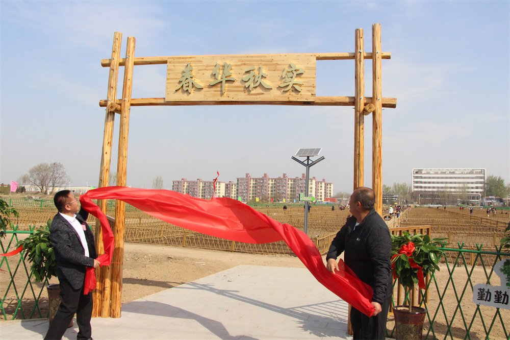 高阳县西王草庄村“共享菜园”揭牌现场。杨瀰摄