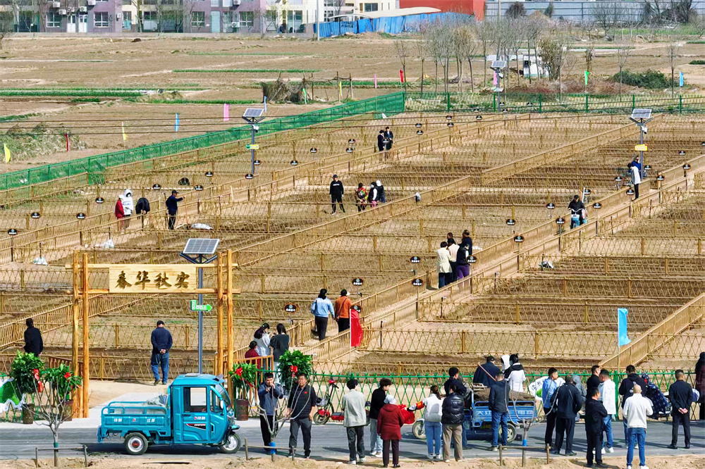 高阳县西王草庄村“共享菜园”航拍图。高阳县农业农村局供图
