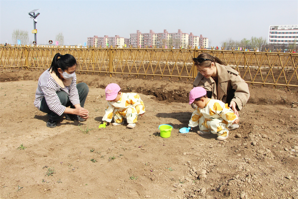 认养者领着孩子在自己的菜园玩耍。杨瀰摄