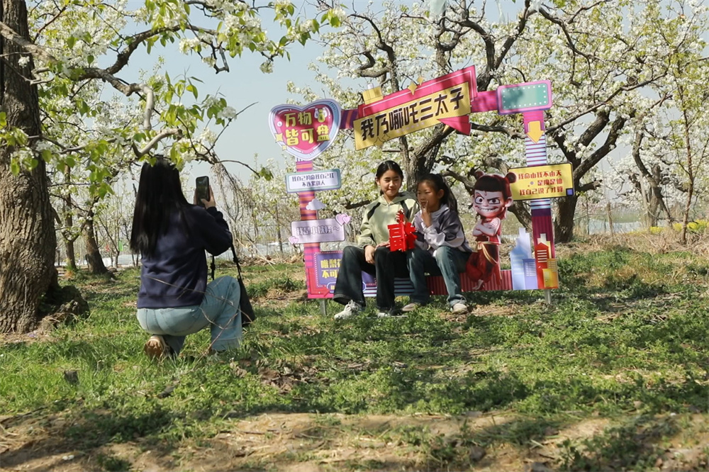 4月6日，游客在千亩梨园中拍照留念，享受春日美景。马凯摄