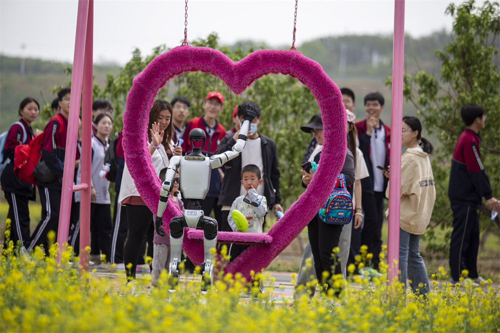 4月26日，河北省邯郸市复兴区二六七二街道东高河村油菜花海，机器人与游客互动打招呼。聂长青摄