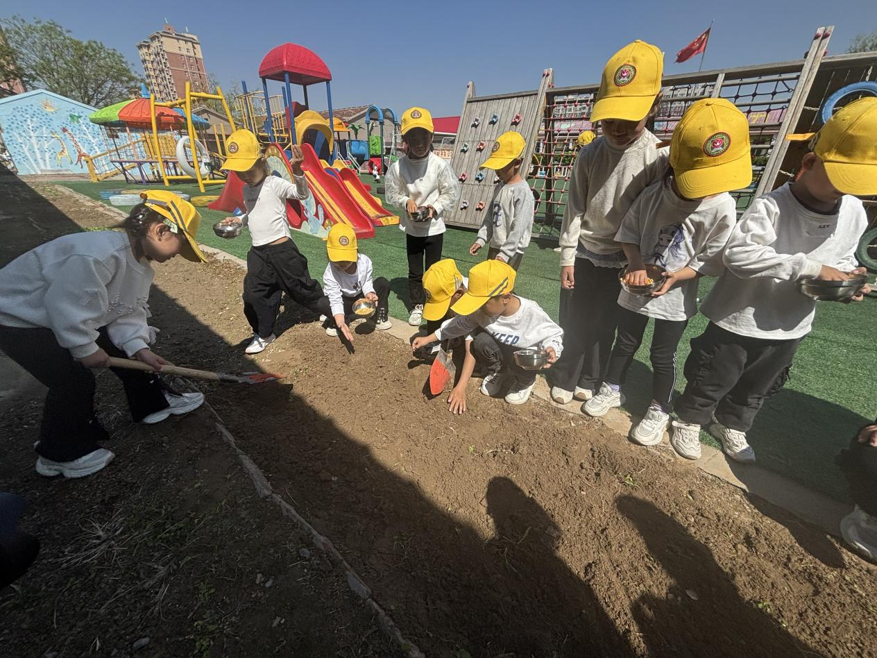 孩子们翻土、挖坑、种玉米。马荣丽摄
