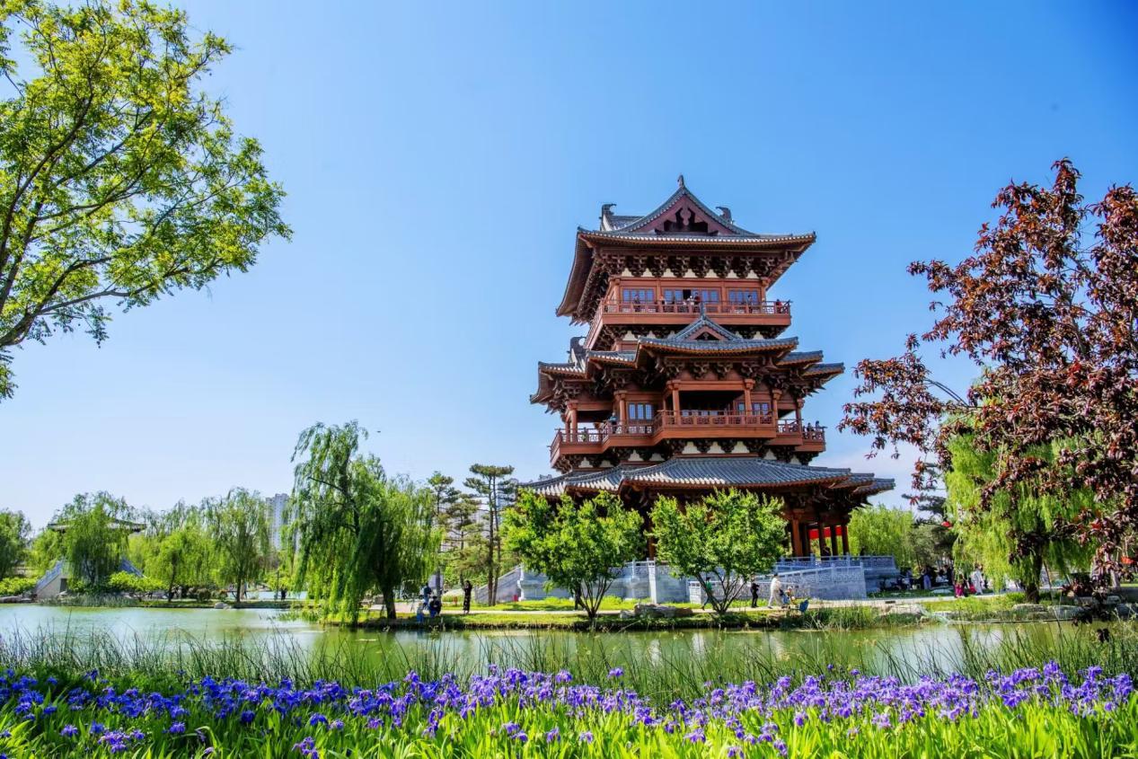 定州市眾春園。白永民攝