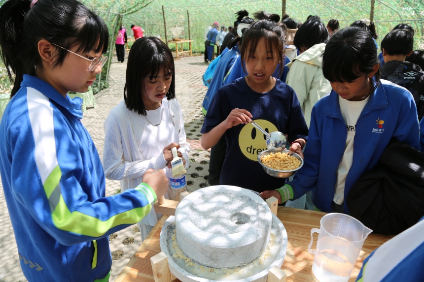 孩子们在体验石磨豆浆技艺。张宝摄