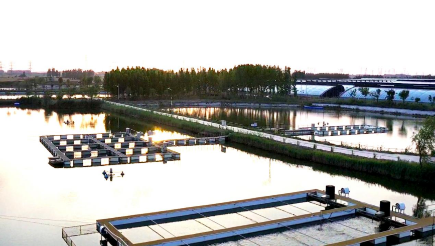 南皮县乐然农场全景。韩娟娟摄
