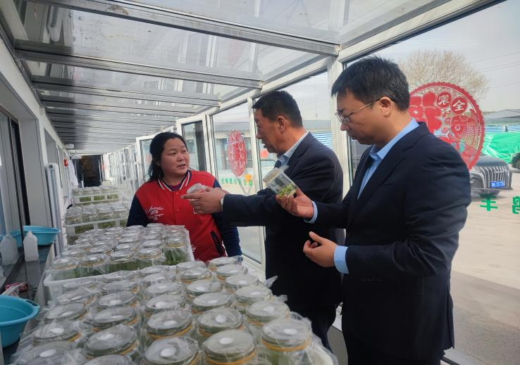 张北县鸿丰马铃薯种业有限公司的马铃薯组培车间。窦晓漪摄
