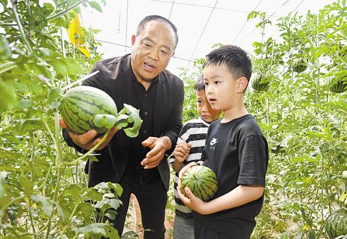 4月26日，李志彬（左）在沧州市青县大司马现代农业园区为小游客讲解西瓜的种植过程。本报记者 张 昊摄