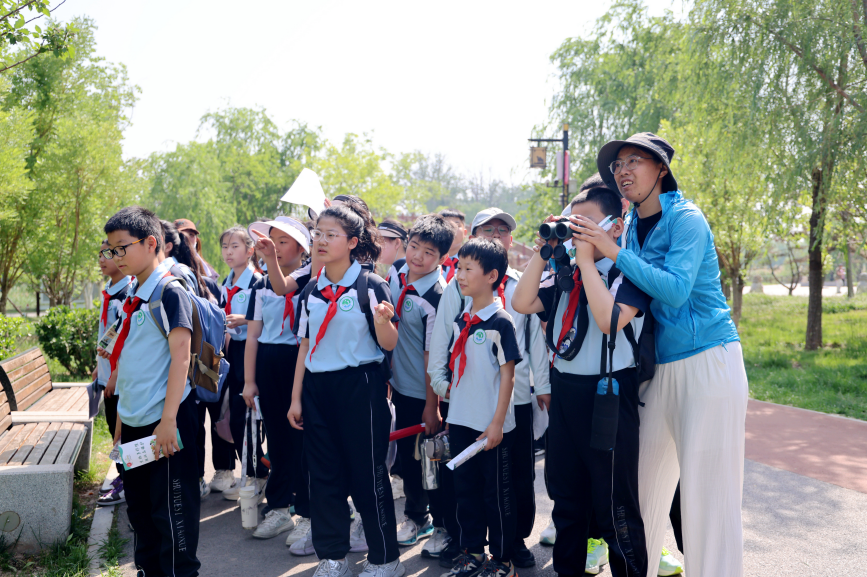 学生们通过望远镜寻找灰喜鹊。王杰摄