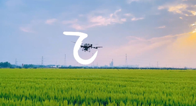 捕捉农场版“野生汉字”