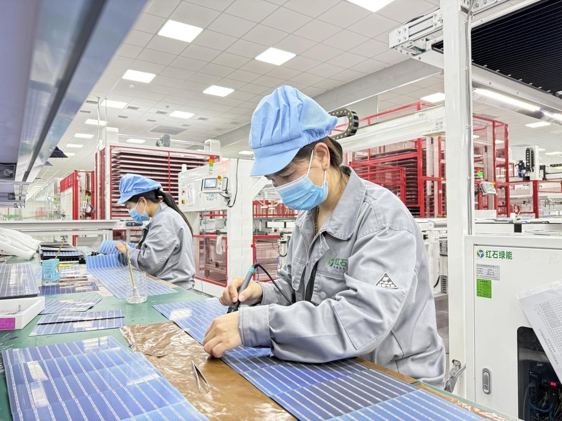 阳原县红石绿能光电科技公司高效光伏组件生产车间工人在对产品进行返修复检。杨晓东摄