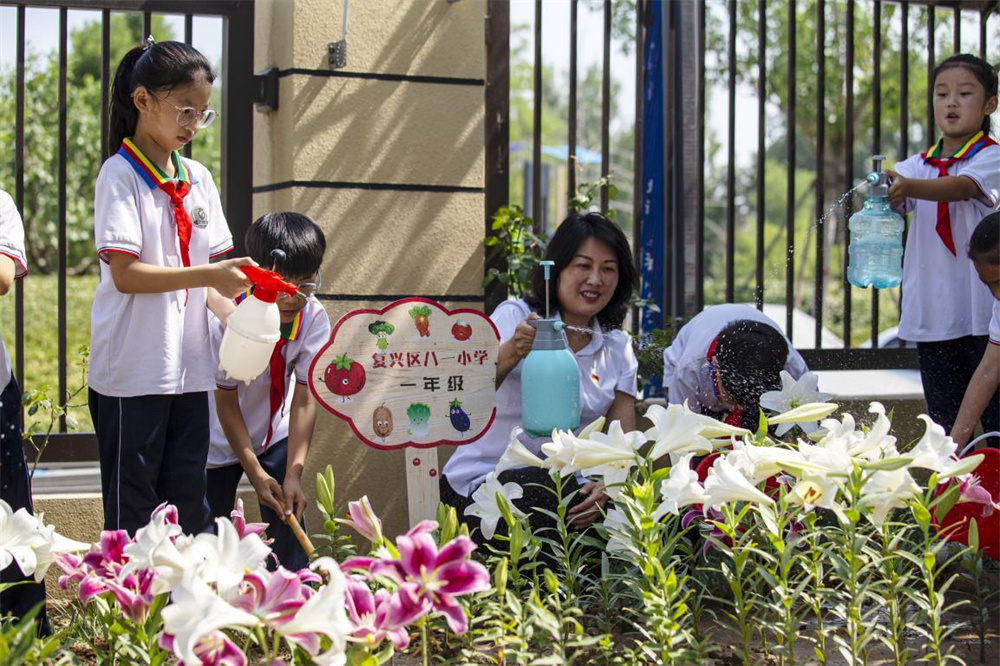 河北省邯郸市复兴区八一小学校园内，孩子们在老师带领下，为百合花浇水。聂长青摄