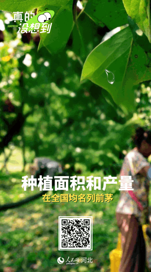 图片11