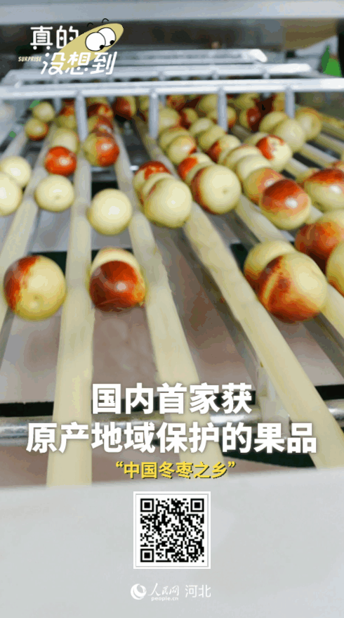 图片14