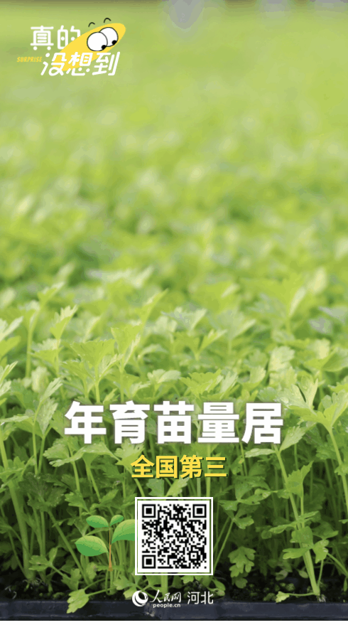 图片10