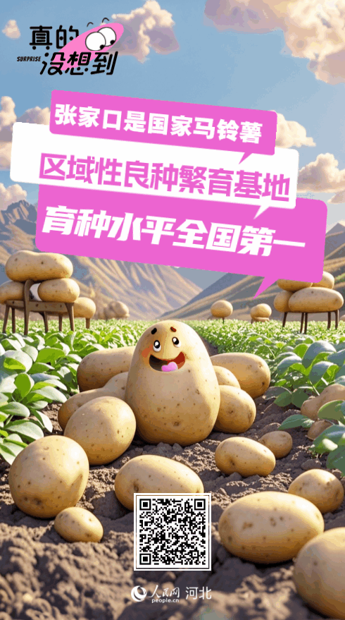 图片4
