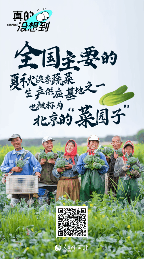 图片13