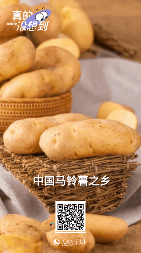 图片16