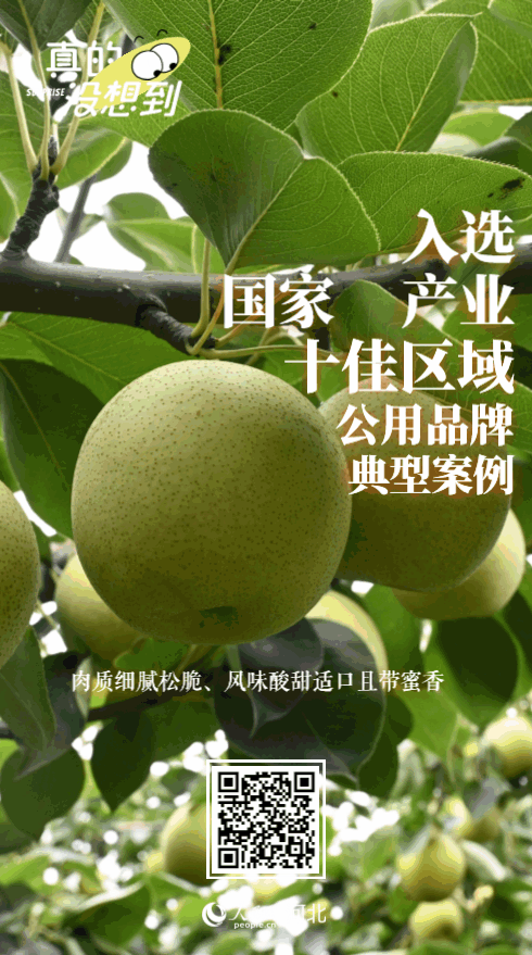 图片20