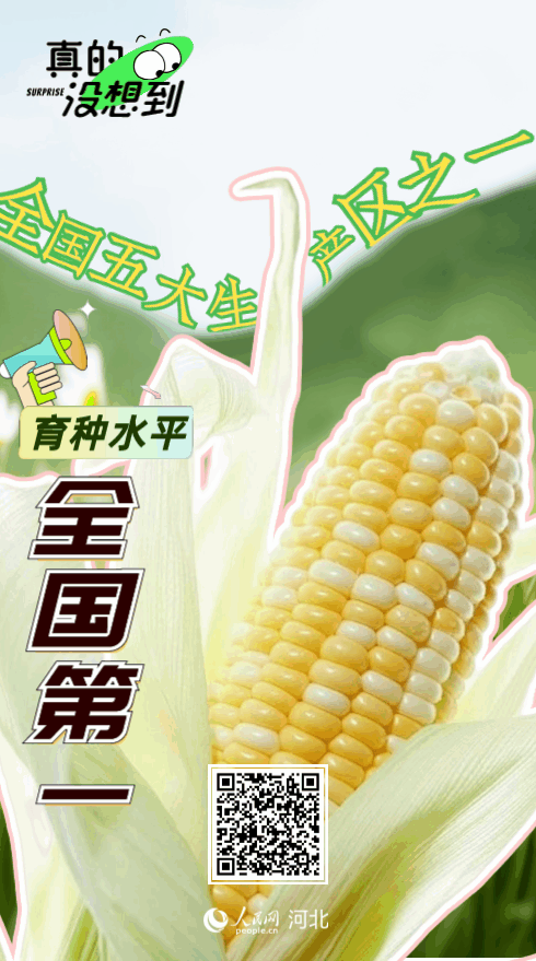 图片5